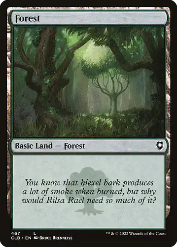 Forest - clb Spoiler