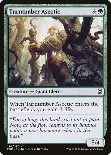 Turntimber Ascetic - znr Spoiler