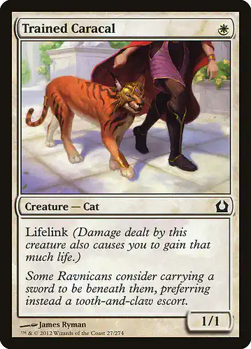 Trained Caracal - rtr Spoiler