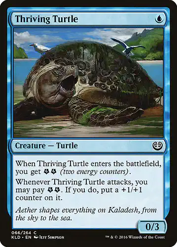 Thriving Turtle - kld Spoiler