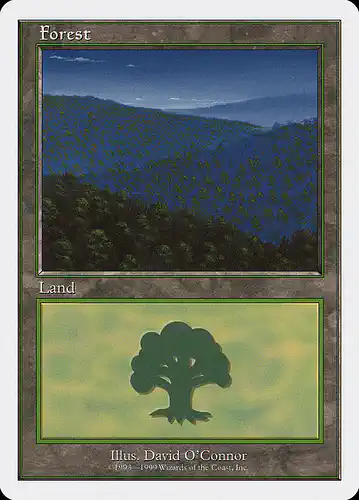 Forest - brb Spoiler