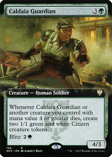 Caldaia Guardian - ncc Spoiler