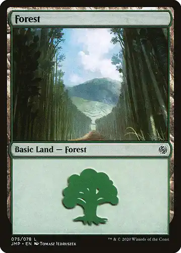 Forest - jmp Spoiler
