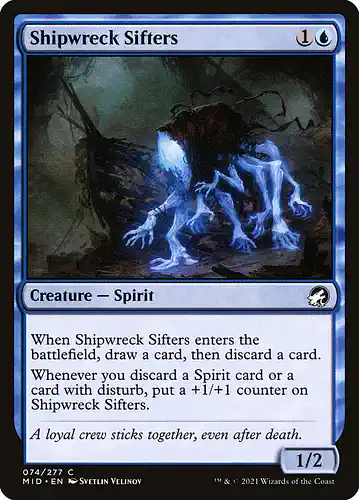 Shipwreck Sifters - mid Spoiler