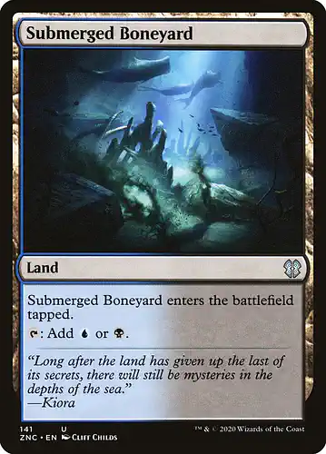 Submerged Boneyard - znc Spoiler