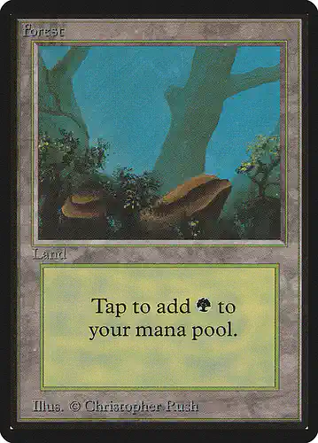 Forest - leb Spoiler