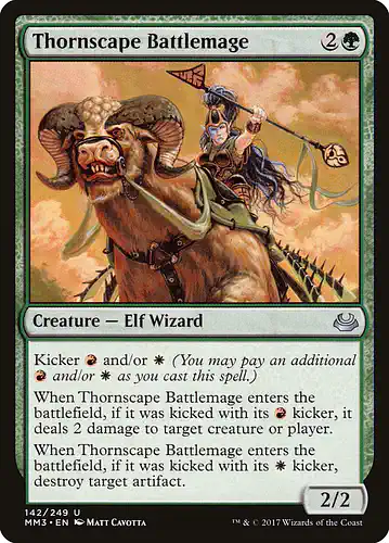 Thornscape Battlemage - mm3 Spoiler