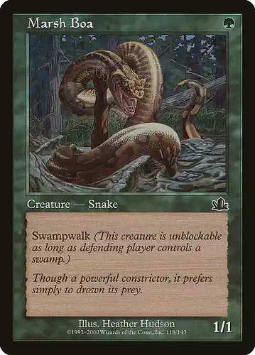 Marsh Boa - pcy Spoiler