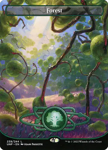Forest - unf Spoiler