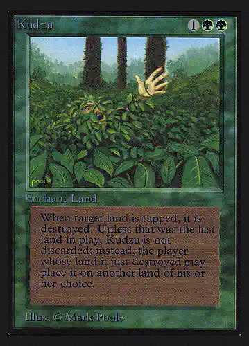 Kudzu - ced Spoiler