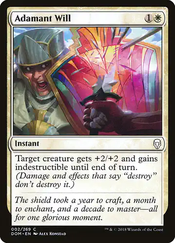 Adamant Will - dom Spoiler
