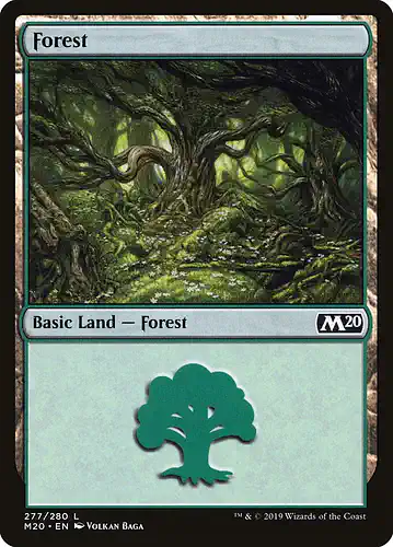 Forest - m20 Spoiler