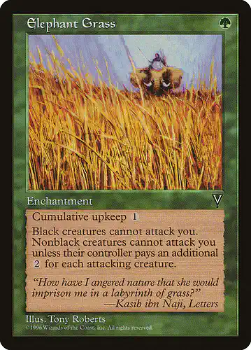 Elephant Grass - vis Spoiler