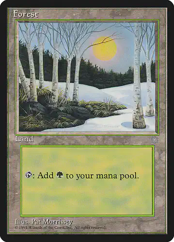 Forest - ice Spoiler