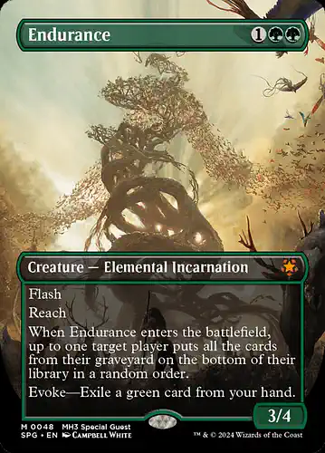 Endurance - spg Spoiler