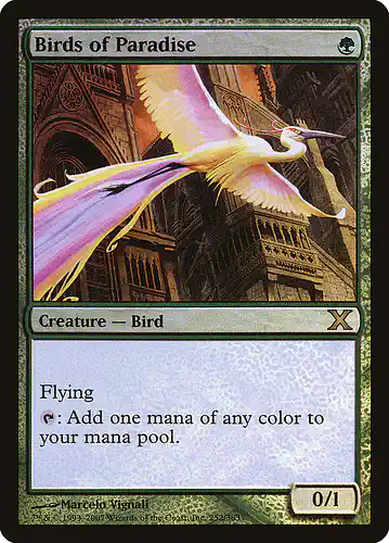 Birds of Paradise - 10e Spoiler