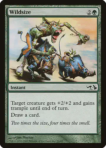 Wildsize - dd1 Spoiler