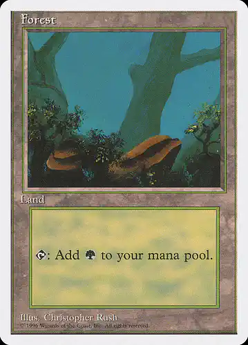 Forest - itp Spoiler