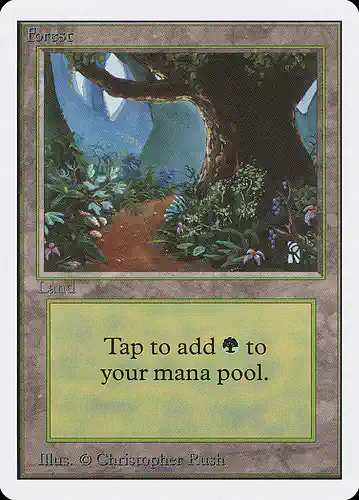 Forest - 2ed Spoiler