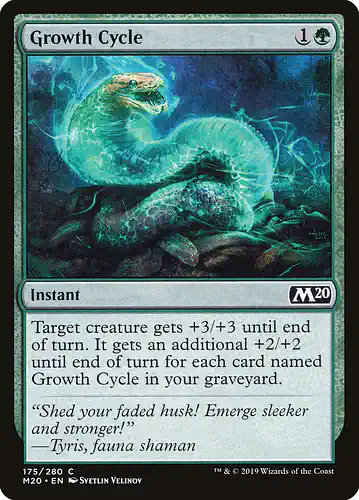 Growth Cycle - m20 Spoiler
