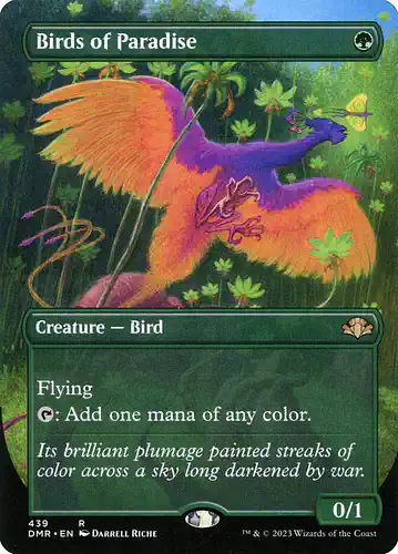 Birds of Paradise - dmr Spoiler