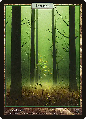 Forest - unh Spoiler