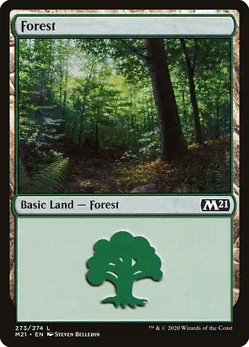 Forest - m21 Spoiler