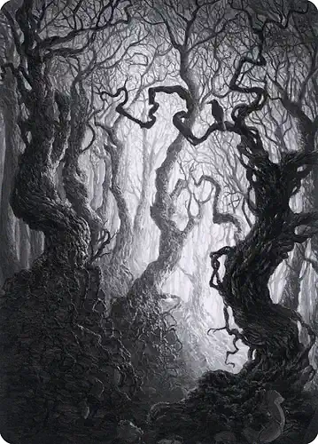 Forest - mid Spoiler