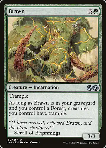 Brawn - uma Spoiler