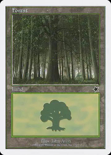 Forest - s99 Spoiler