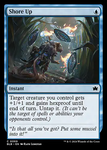 Shore Up - blb Spoiler