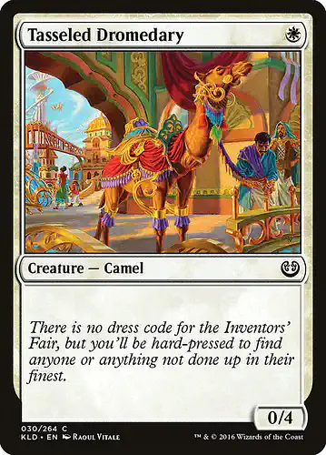 Tasseled Dromedary - kld Spoiler