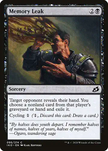 Memory Leak - iko Spoiler