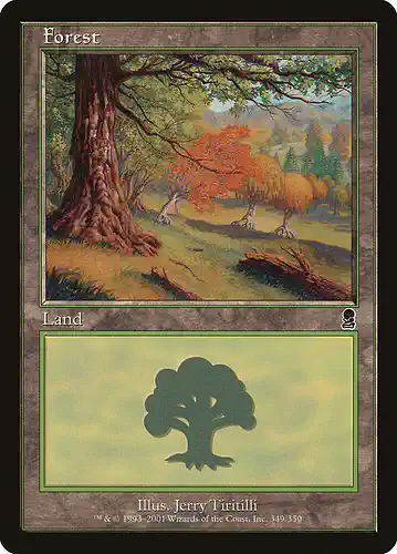 Forest - ody Spoiler