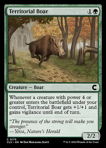 Territorial Boar - clu Spoiler