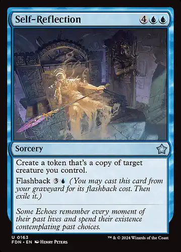 Self-Reflection - fdn Spoiler