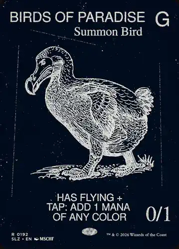 Birds of Paradise - slz Spoiler