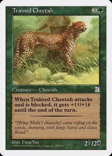 Trained Cheetah - ptk Spoiler