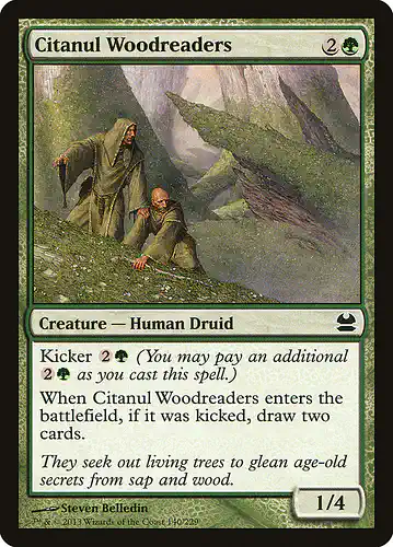 Citanul Woodreaders - mma Spoiler