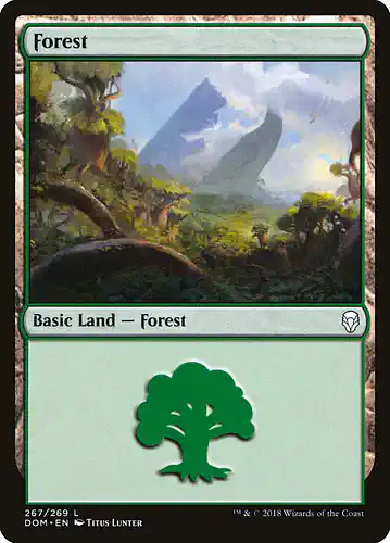 Forest - dom Spoiler