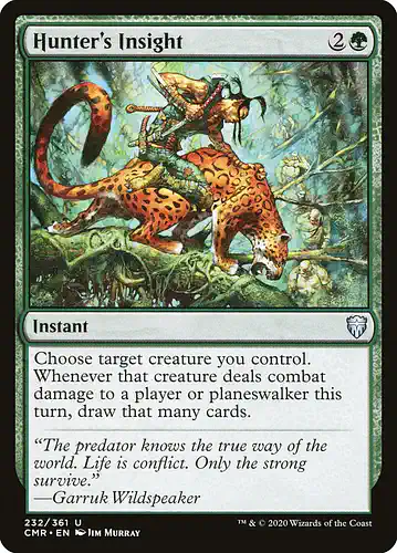 Hunter's Insight - cmr Spoiler