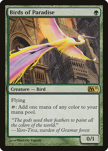 Birds of Paradise - m11 Spoiler