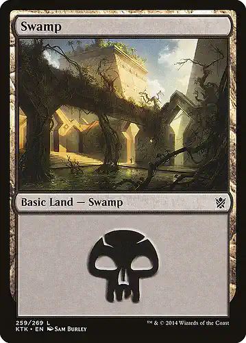 Swamp - ktk Spoiler