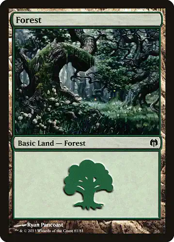 Forest - ddl Spoiler