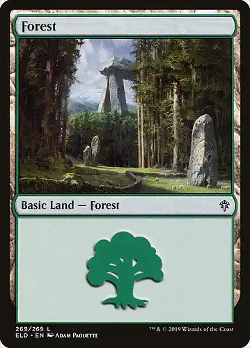 Forest - eld Spoiler