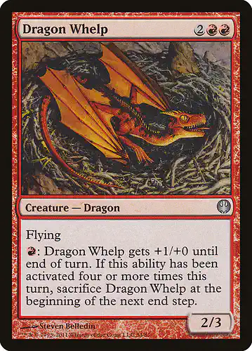 Dragon Whelp - ddg Spoiler
