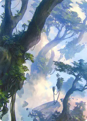 Forest - znr Spoiler