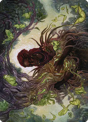 Circle of Dreams Druid - afr Spoiler