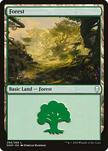 Forest - dom Spoiler