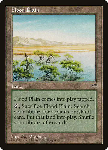 Flood Plain - mir Spoiler